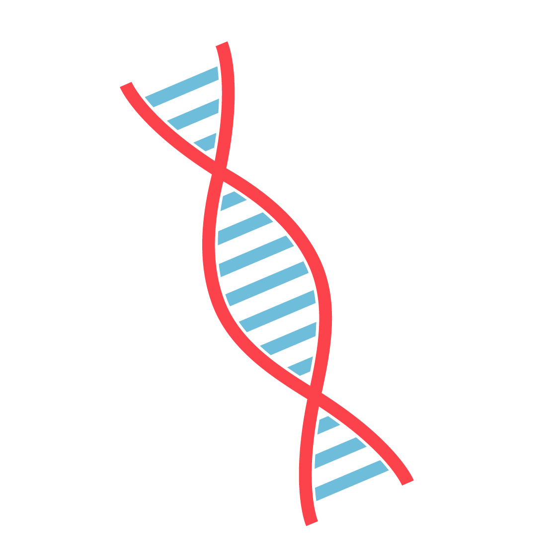 A blue and red illustration of a DNA strand with chromosomes.